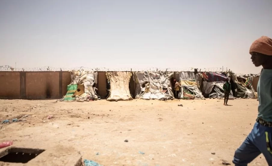L’OIM réclame un corridor humanitaire pour les migrants coincés au Niger